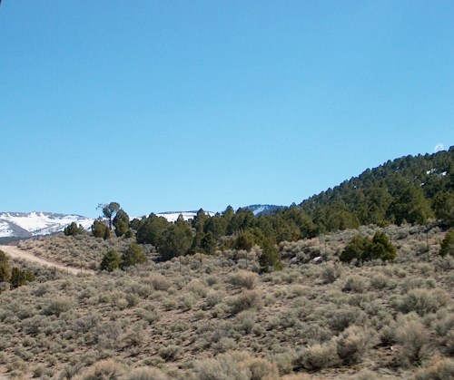 On the way home. . . 