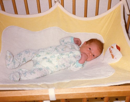 the amazing Crib Cuddle