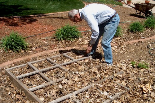 We were pretty sure we had some good soil underneath the mess of leaves.