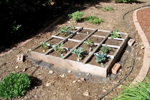 I love the organized look!