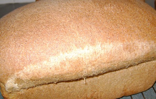mouth watering, whole wheat goodness